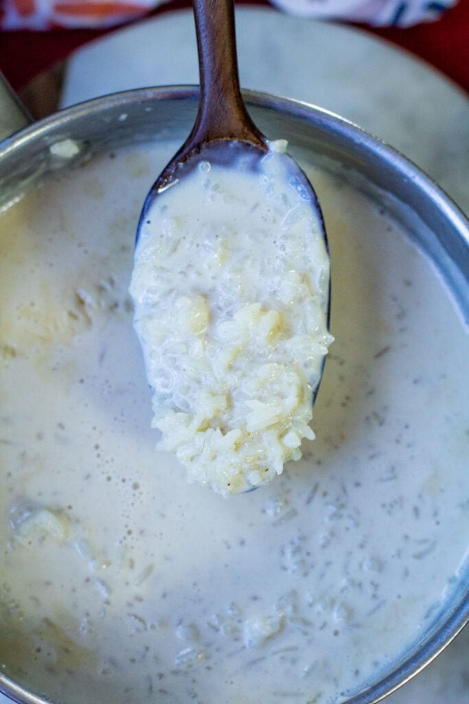 close up shot of rice and milk on a spoon