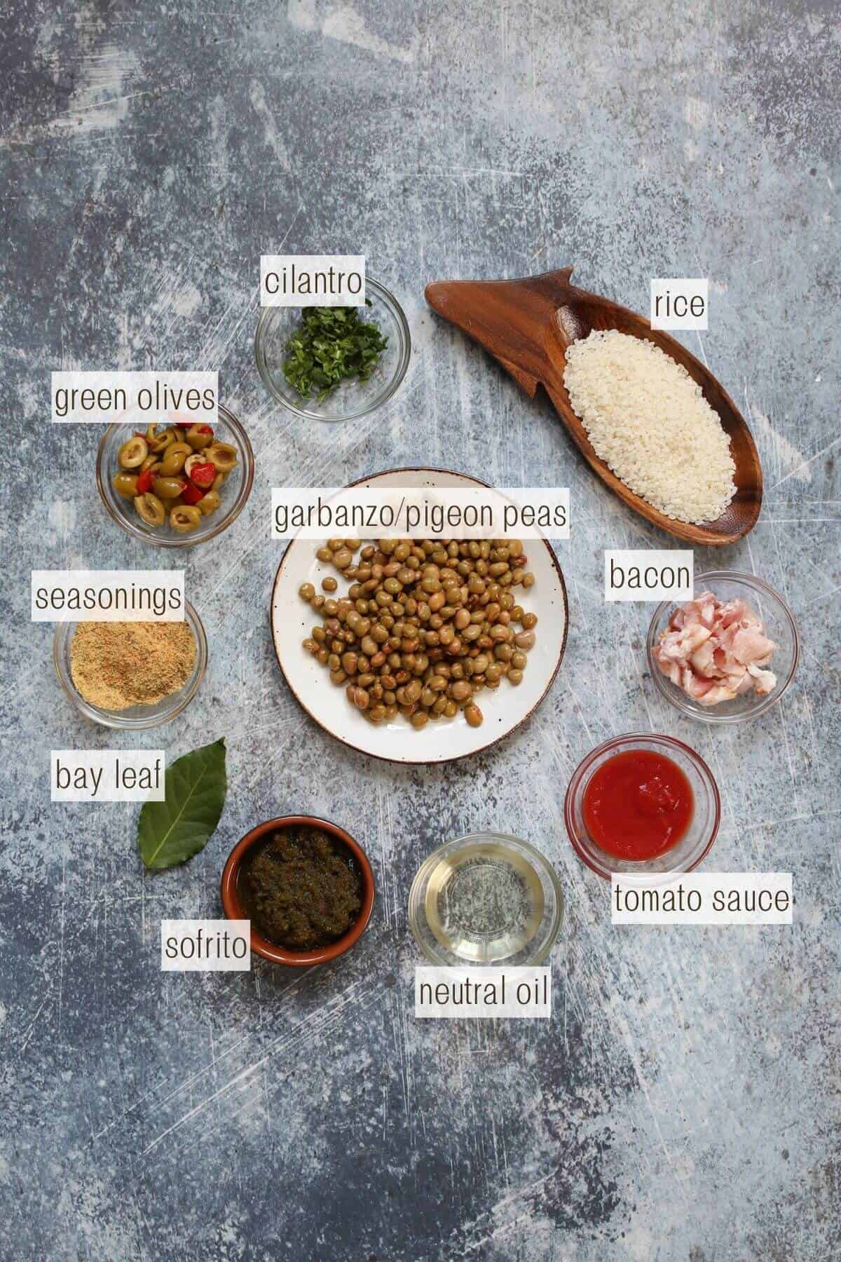 An image full of all of the ingredients used in the recipe, is labeled individually with a blue and gray background.