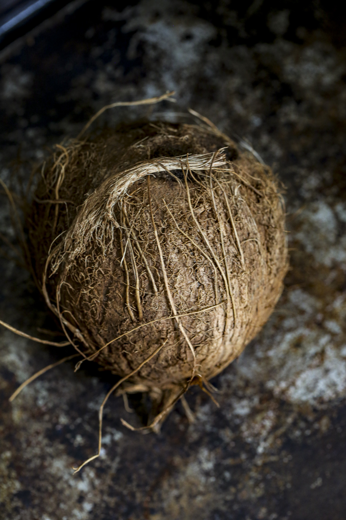 Whole coconut on a steel pan. It's shot in a dark and moody method.